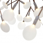 Heracleum III The Small Big O Pendel Copper Heracleum III The Small Big O Pendel Copper