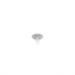 Teti Taklampa/Vägglampa Transparent Teti Taklampa/Vägglampa Transparent