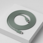 Cable 1 USB-C To USB-C Oak Green