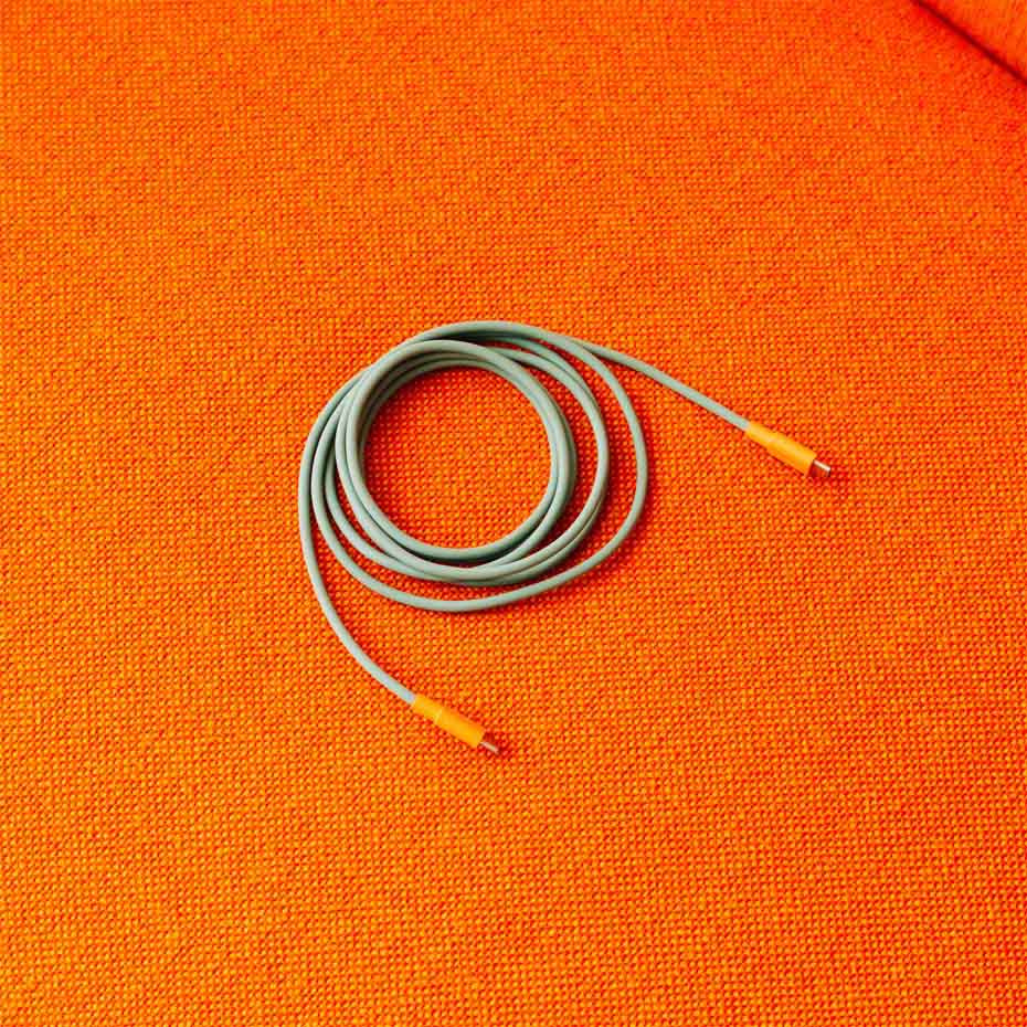 Cable 1 USB-C To USB-C (100W) 2m Bauhaus-Archiv Edition Gecko Bloom