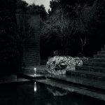 In Vitro 1 Pollare H400 Black In Vitro 1 Pollare H400 Black