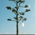Mayday Outdoor Bordslampa/Golvlampa Leaf Green Mayday Outdoor Bordslampa/Golvlampa Leaf Green