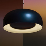 Brush Pendel Small Beetle Brush Pendel Small Beetle