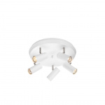 Torino 5 Spotlight Vit Torino 5 Spotlight Vit