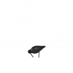 Shorebird Small Black/Black