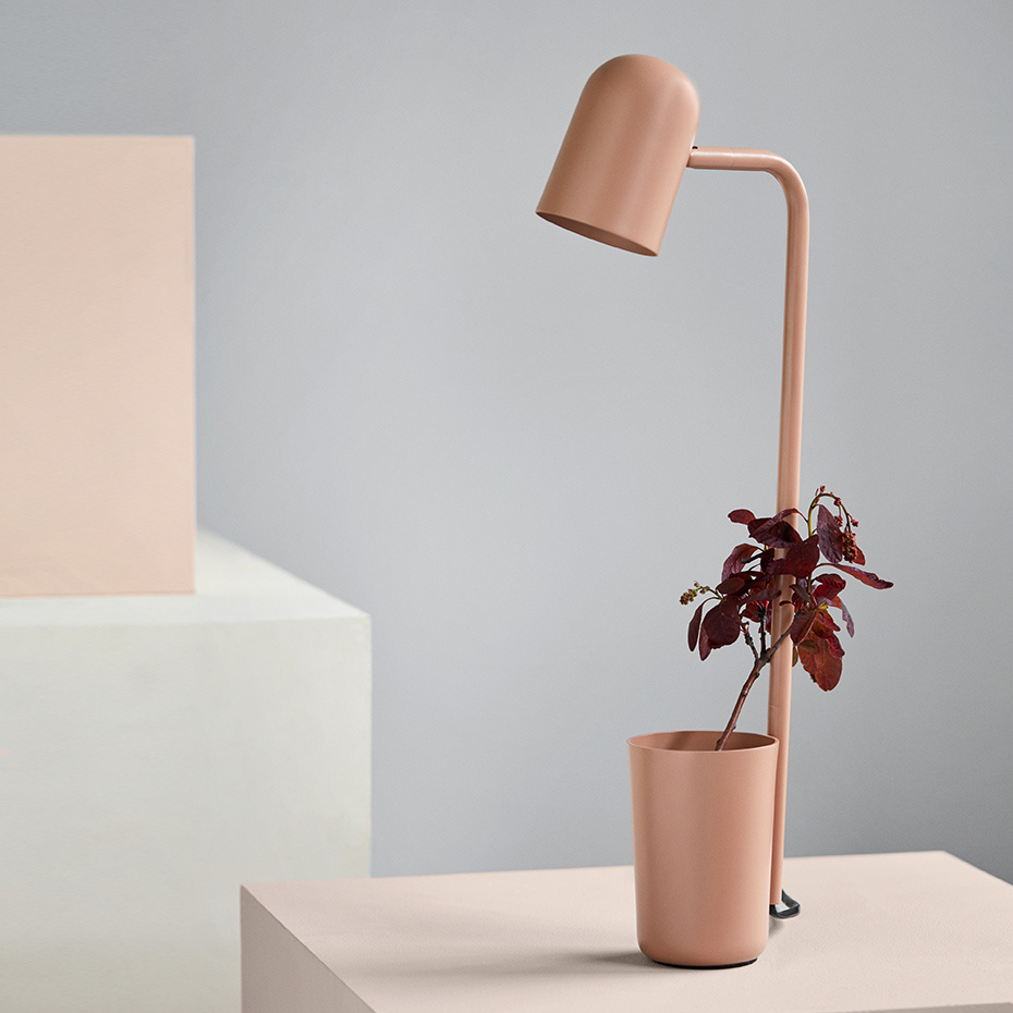 Buddy Bordslampa Warm Beige