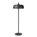 Acorn Golvlampa Grey Acorn Golvlampa Grey