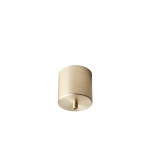 Ceiling Cup Takkpa 9cm Brushed Brass