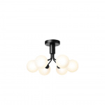 Apiales 6 Ljuskrona Tak Satin Black/Opal White Apiales 6 Ljuskrona Tak Satin Black/Opal White