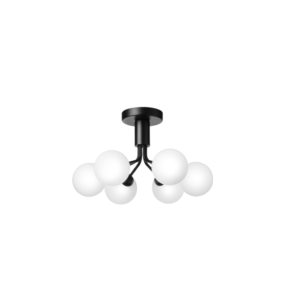 Apiales 6 Ljuskrona Tak Satin Black/Opal White