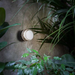 Fresnel 1148 Vägglampa/Taklampa Lacquered Black Fresnel 1148 Vägglampa/Taklampa Lacquered Black