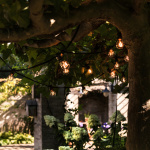 Utbyggnad Till Bright Ljusslinga Utomhus 4,9m Svart Utbyggnad Till Bright Ljusslinga Utomhus 4,9m Svart