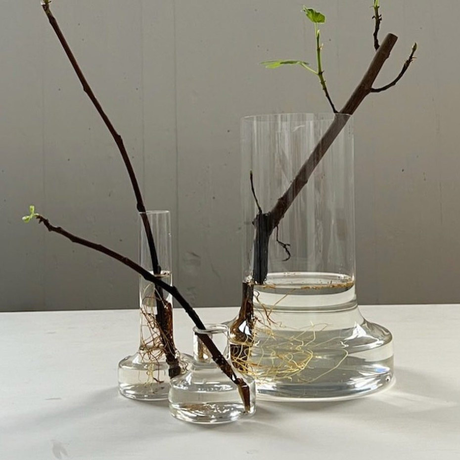 Kolonn Blank Vas Liten Klarglas