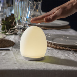 Oval LED Nattlampa Oval LED Nattlampa