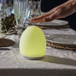 Oval LED Nattlampa Oval LED Nattlampa