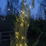 Dew Drop LED Ljusslinga 100 Ljus Silver IP44 Dew Drop LED Ljusslinga 100 Ljus Silver IP44