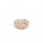 Eos Lampskärm Mini Light Brown Eos Lampskärm Mini Light Brown