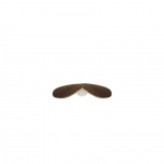 Forget Me Not Lampskärm Medium Dark Oak Forget Me Not Lampskärm Medium Dark Oak