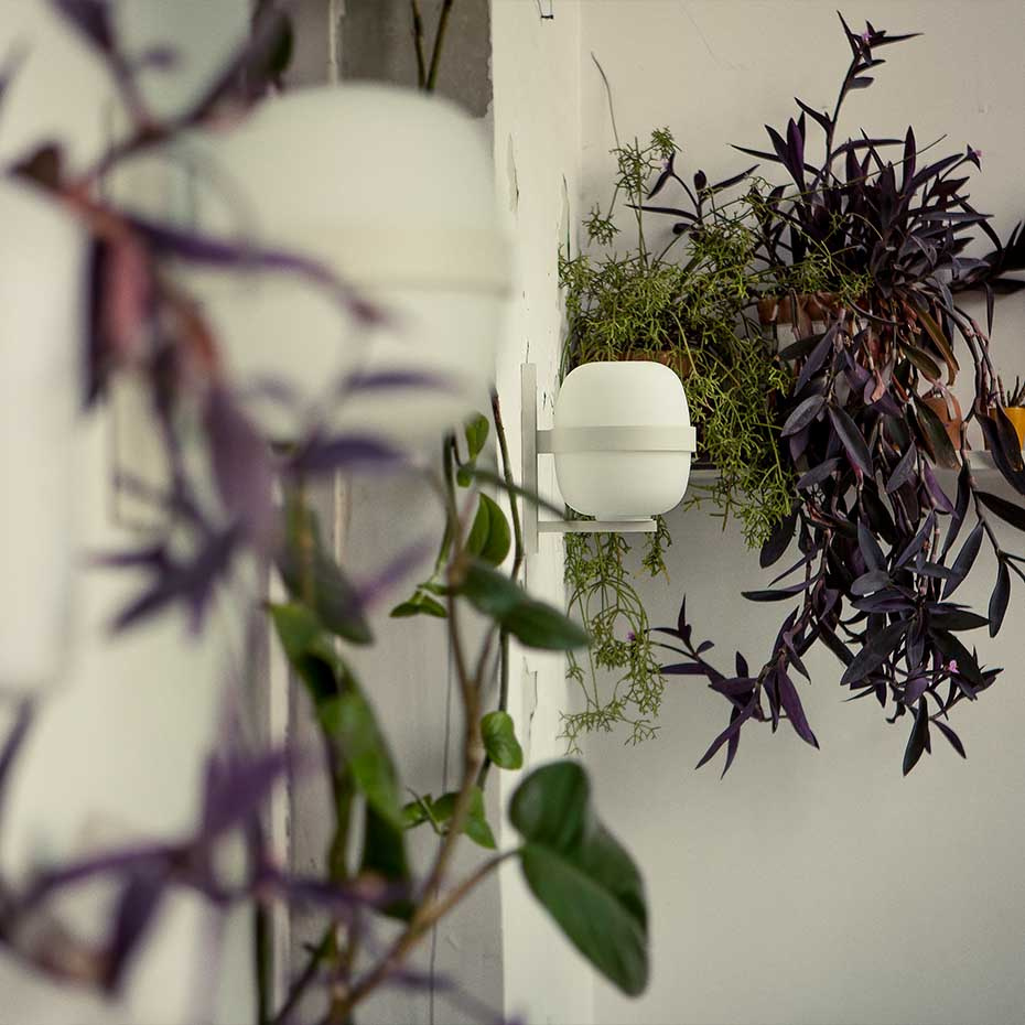 Wally Cestita Vägglampa Matt White Grey